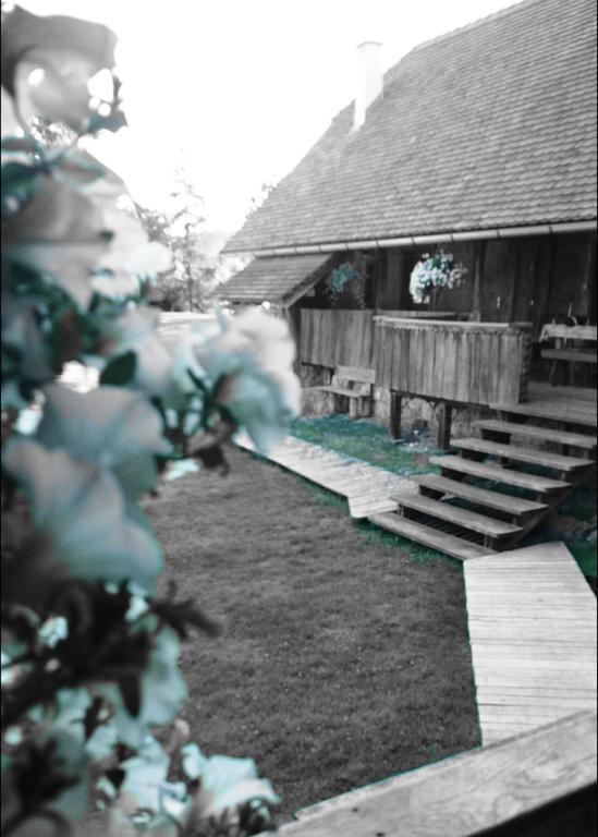 Rustic Home Mia 杜加雷萨 客房 照片