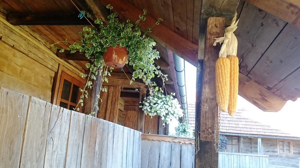 Rustic Home Mia 杜加雷萨 客房 照片