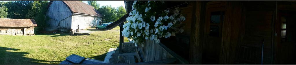 Rustic Home Mia 杜加雷萨 客房 照片