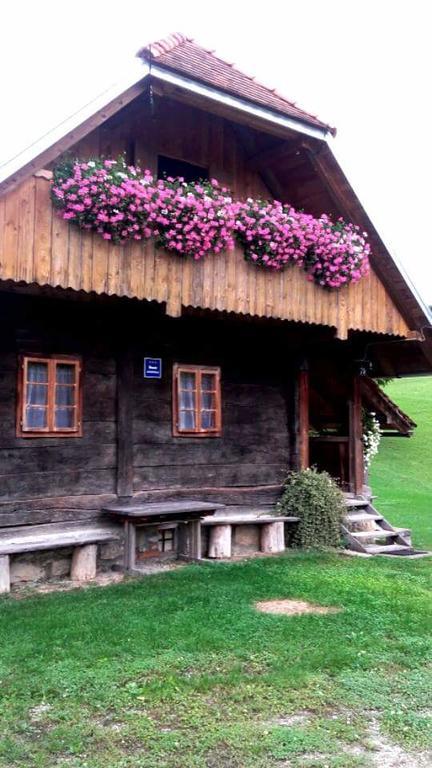 Rustic Home Mia 杜加雷萨 外观 照片